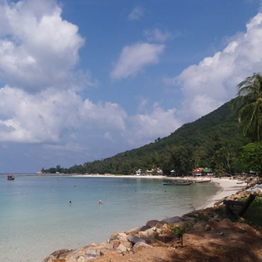 koh pangan